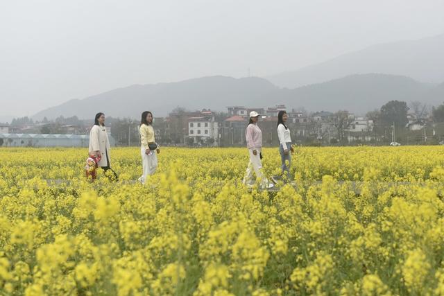 乡村  经济  赏花  花海经济  乡村旅游  乡村振兴