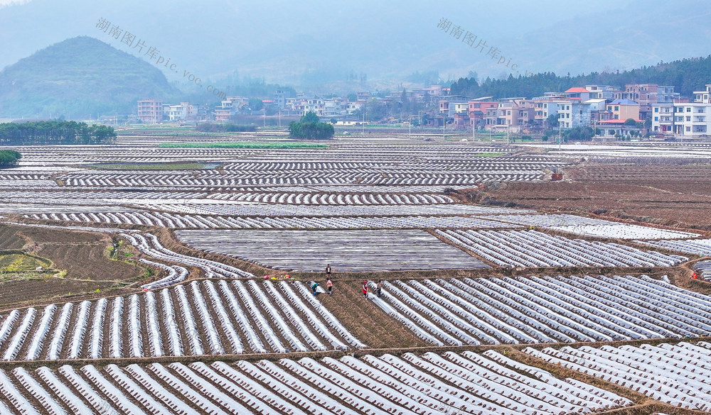 地膜  履膜  田园  瑞雪  丰年