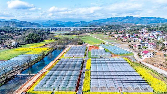 自然  生态  宜居  和美乡村