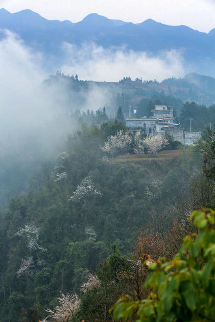 湖南，龙山，春天，山寨，云雾，山花，民居