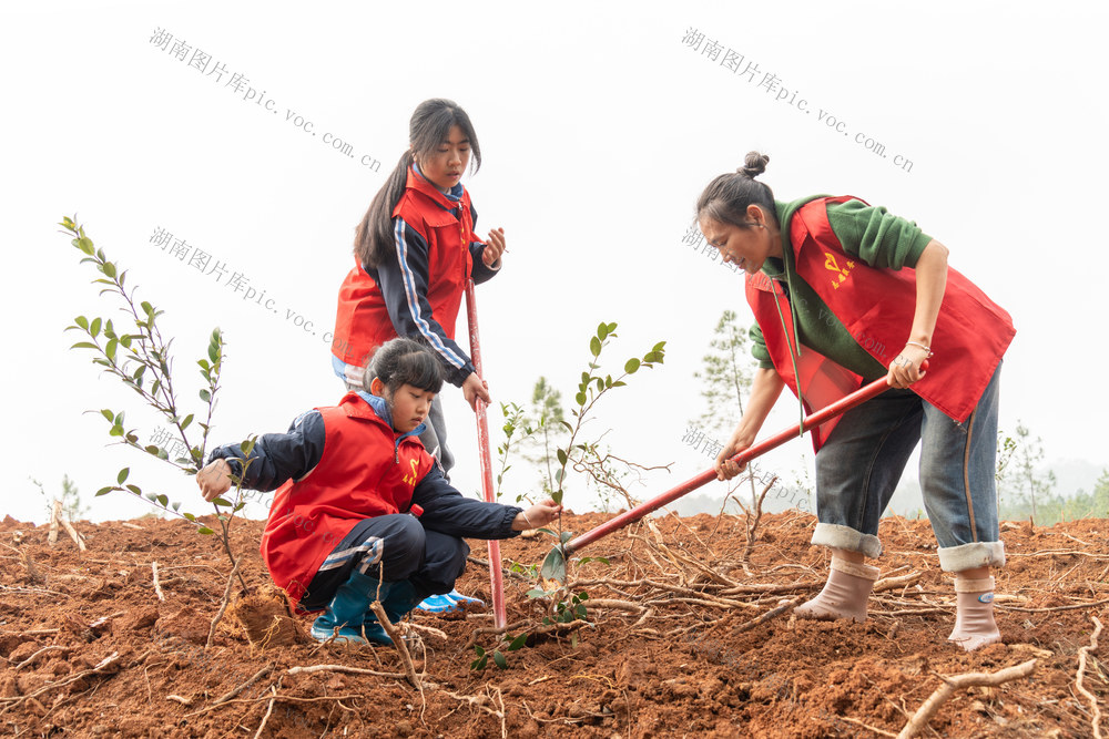 义务植树 绿色发展 绿山青山 