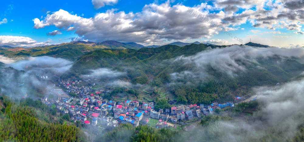 乡村振兴新画卷