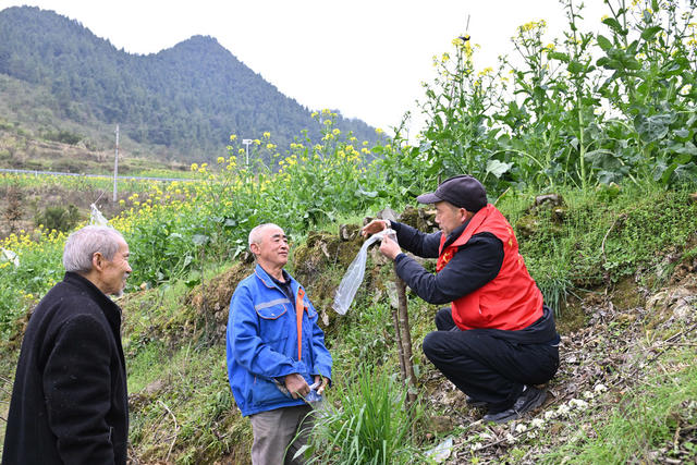 经济　乡村振兴　驻村工作　春耕生产　嫁接果树