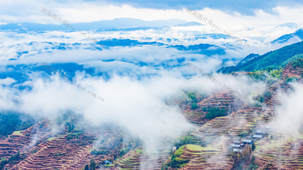 生态  农村  云雾  梯田  农舍  