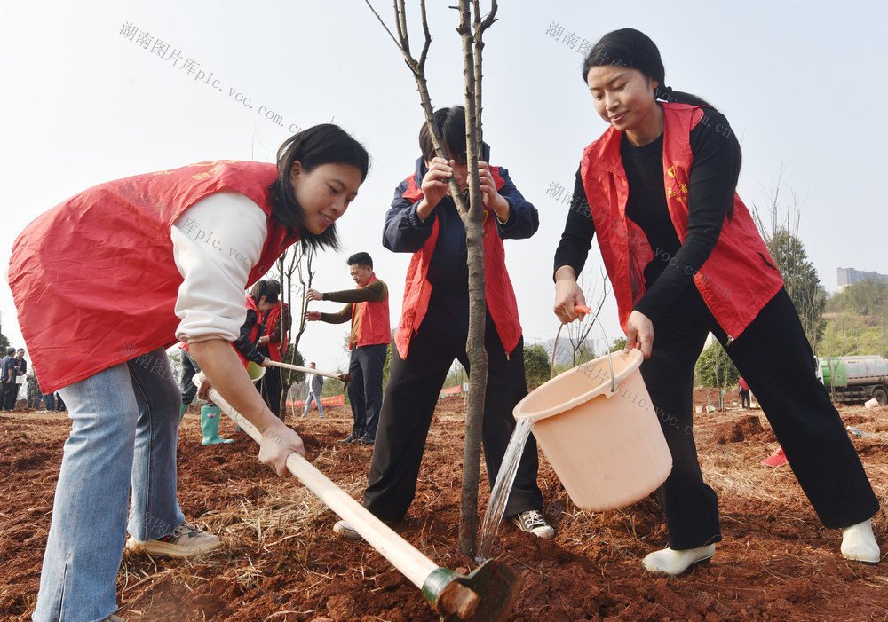 湖南嘉禾：植树造林  绿化家园