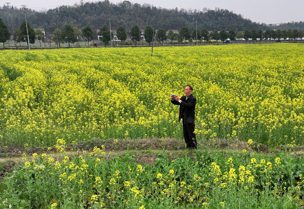 美丽囗田园囗拍摄