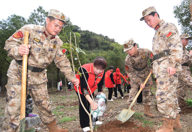 嘉禾：义务植树添新绿