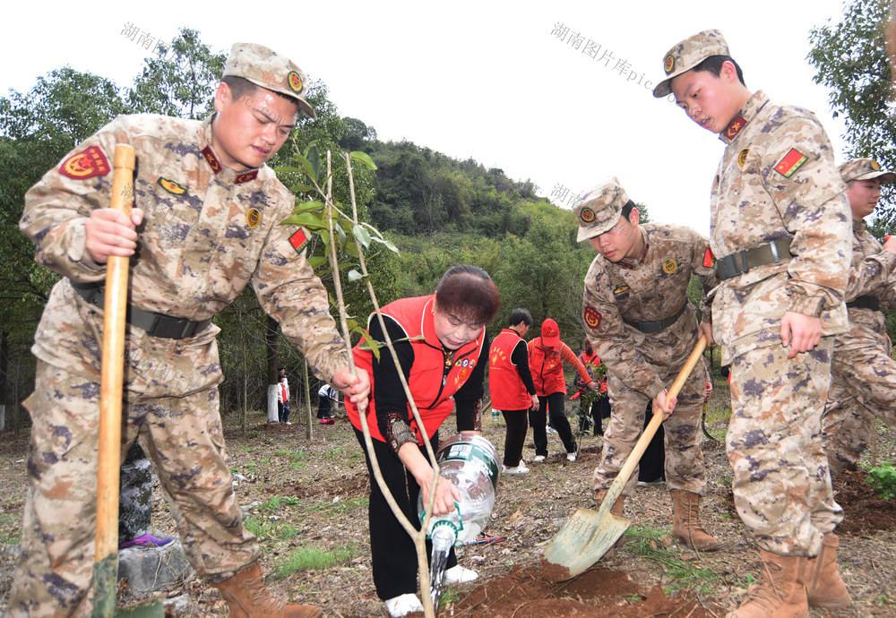 嘉禾：义务植树添新绿