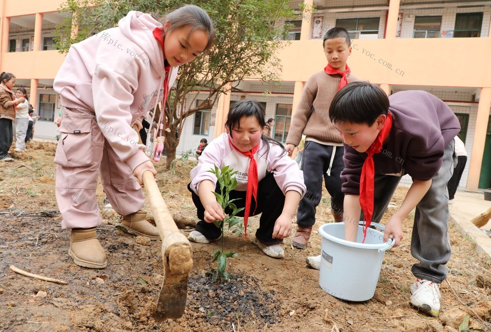   春日植树   绿化校园     