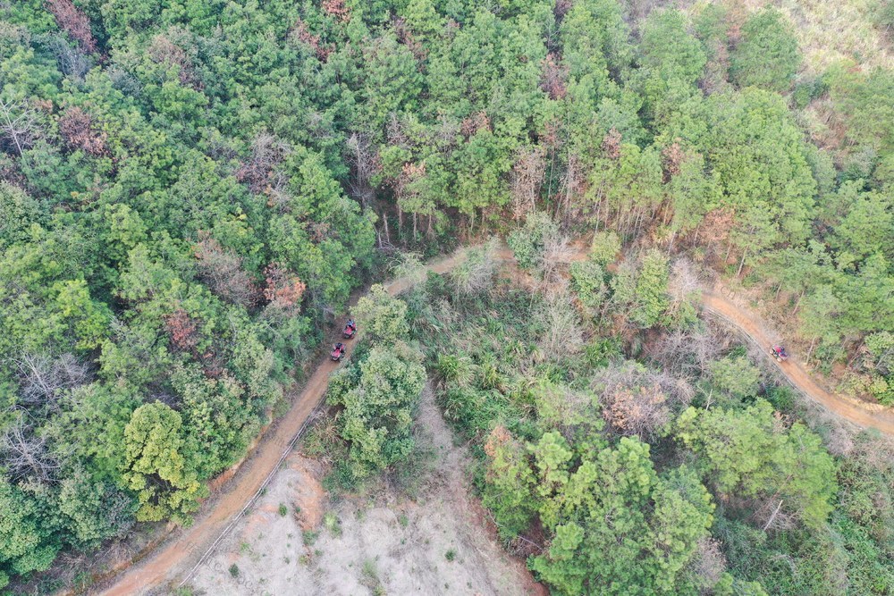 乡村  旅游  户外  探险  生态  经济