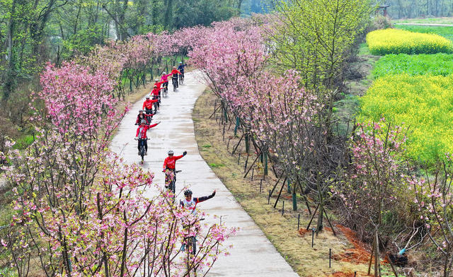 骑行 赏花