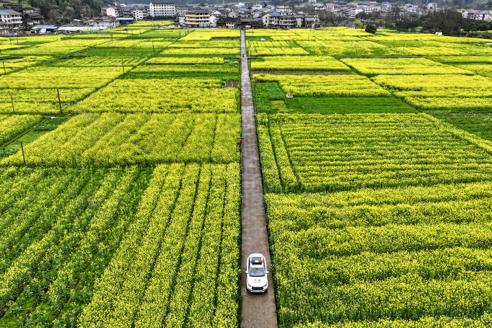 大喇叭 宣传车 宣传 交警 安全