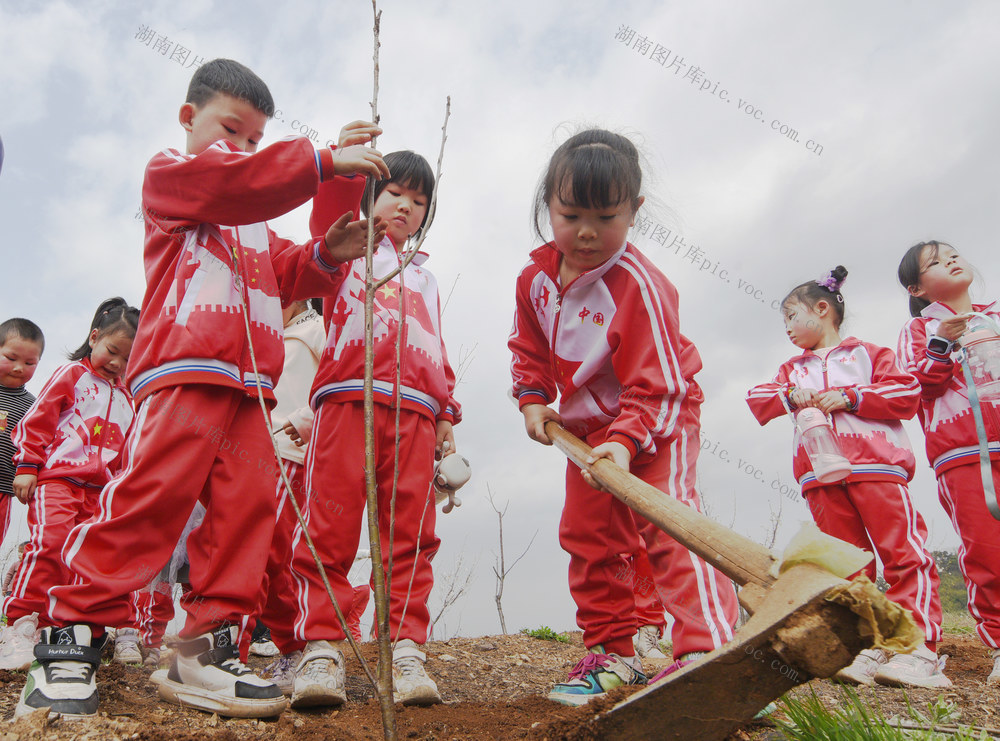 嘉禾：植树护绿，从“小”做起