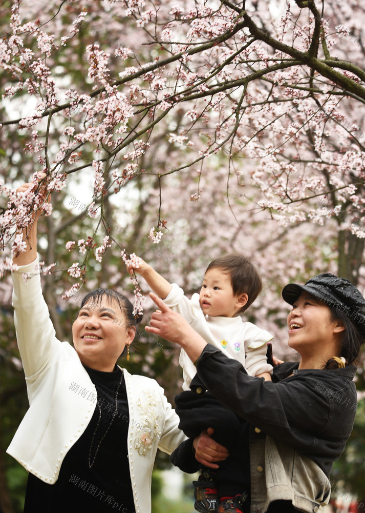 嘉禾：公园美  市民乐