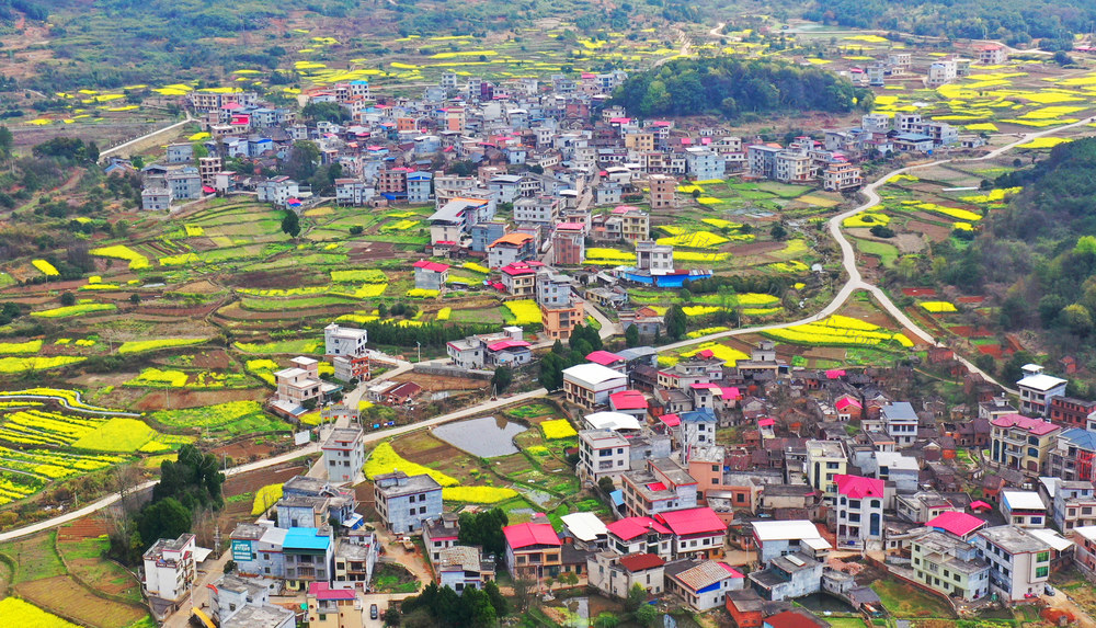 嘉禾：春意盎然山村美