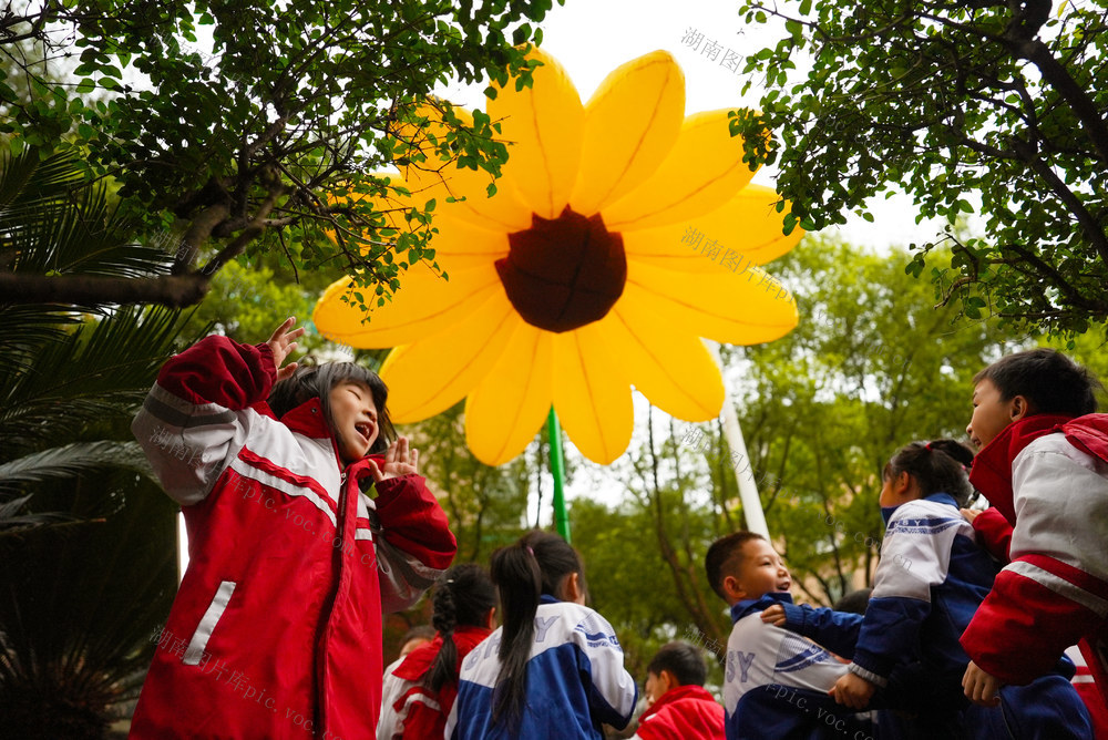 大课间 减压向日葵 疏解压力