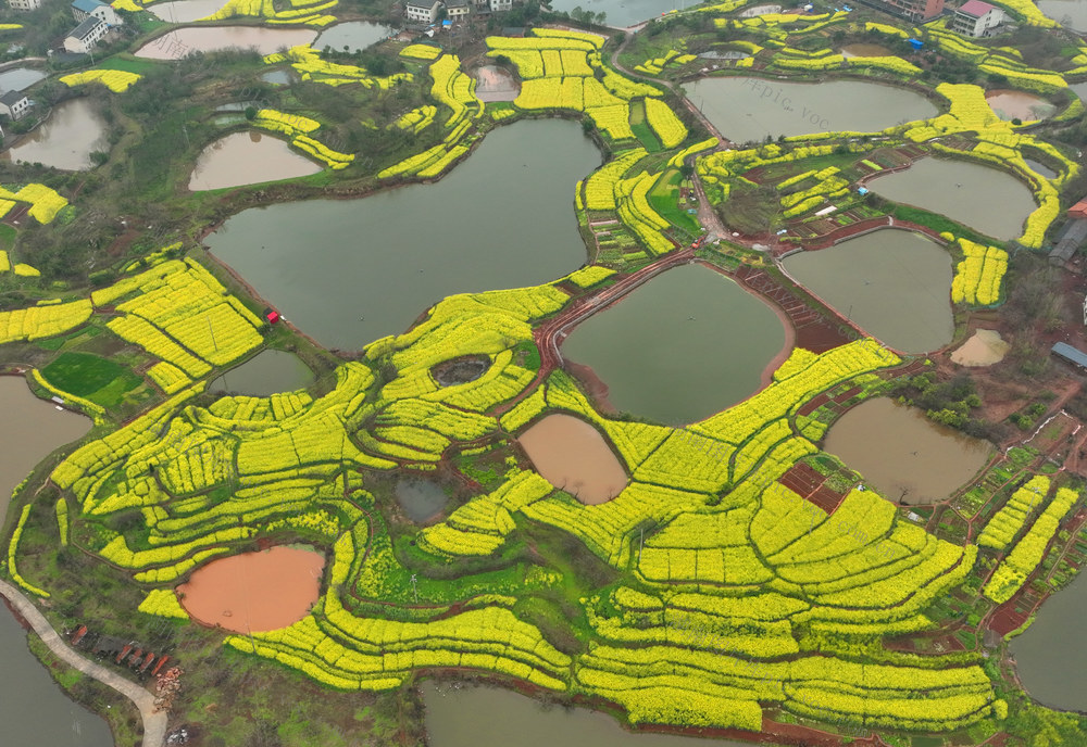 乡村 春色 美如画