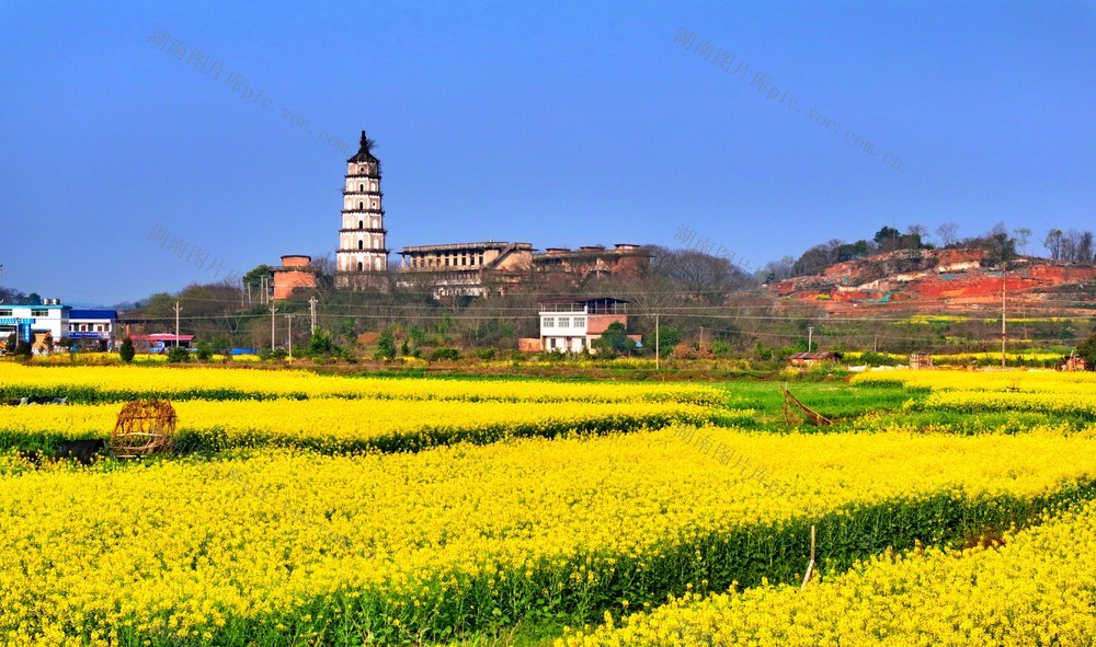 湖南  常宁  乡村  美景
