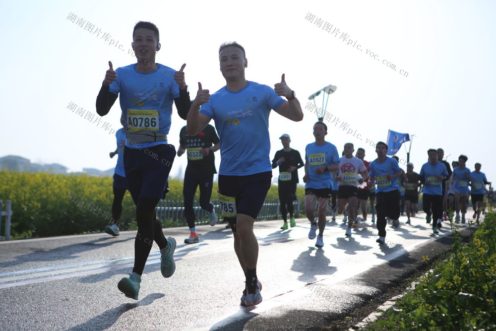 花海  马拉松 油菜花  经济  农业  乡村振兴  跑步  奔跑  暖阳  春光