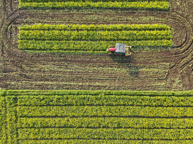 春耕   春节   生产  农业  蔬菜  种植  农田  农民 