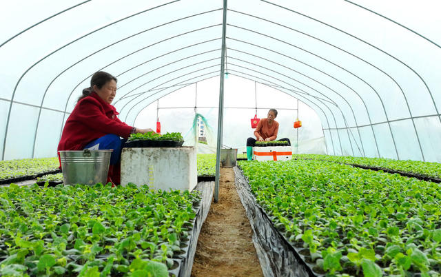 农时 农事 农忙