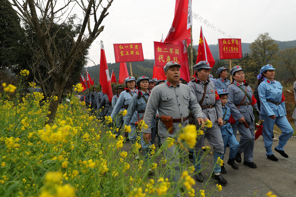 春日乡村 油菜花节 旅游生态 追寻红色 记忆 共赏 金色花海 吸引游客
