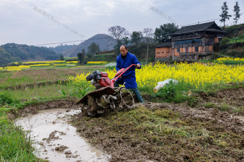 春耕 农忙