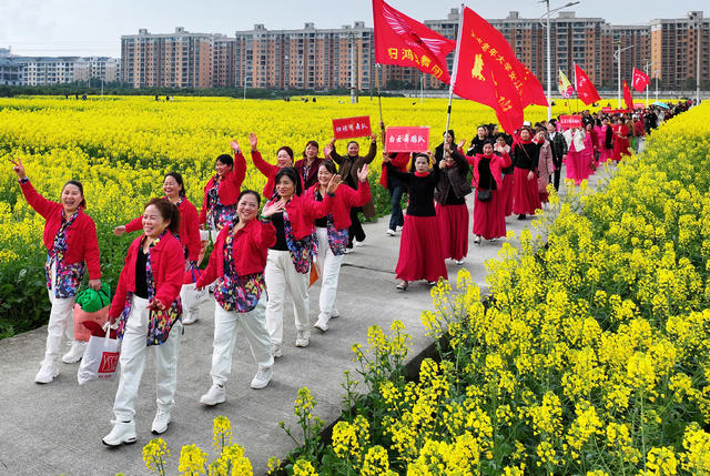油菜花开游人来