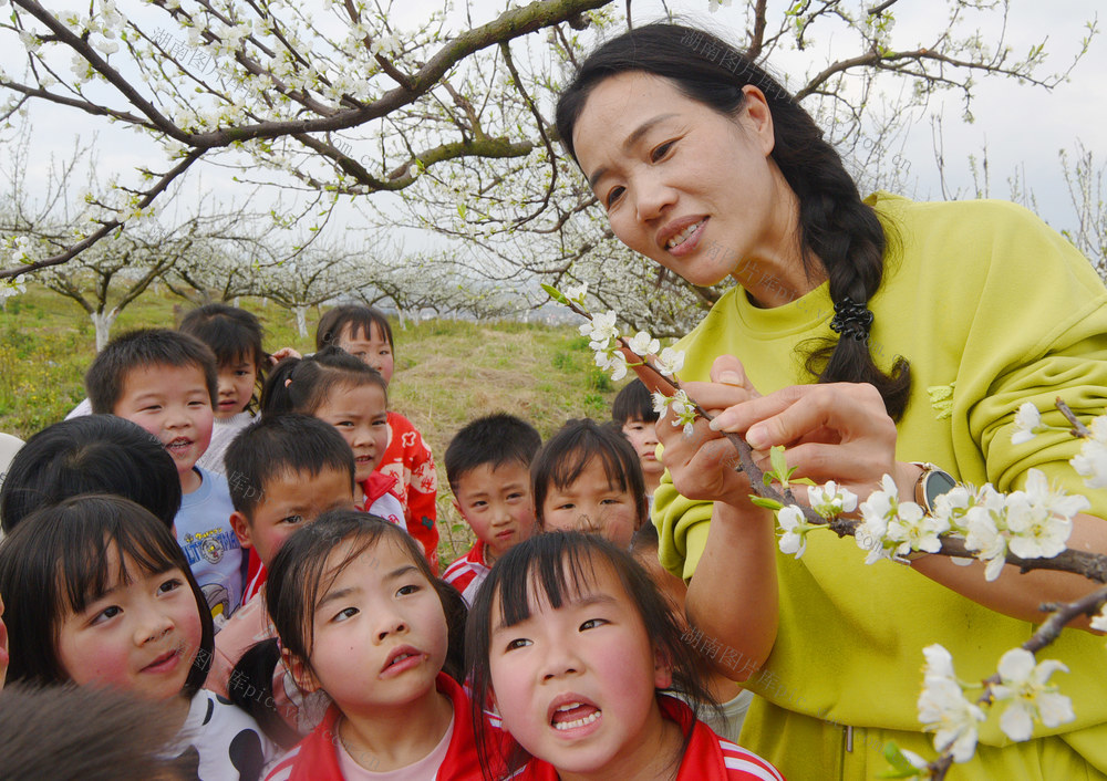 嘉禾：研学实践乐趣多