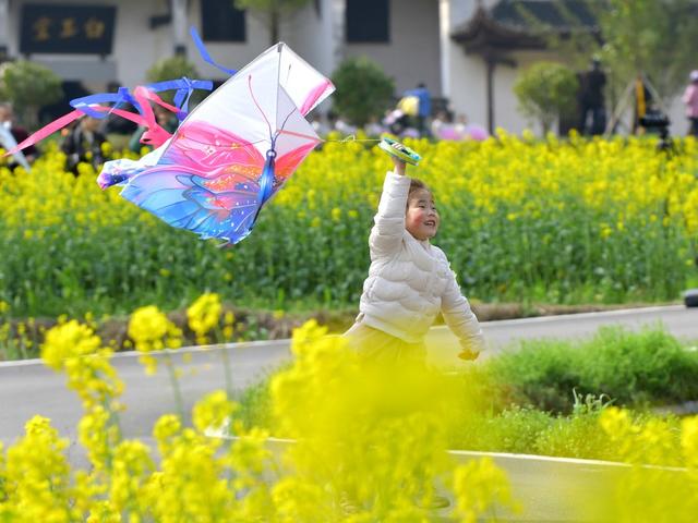 春天  花开  舞龙  曾国藩故居  油菜花  游玩  旅游  文旅