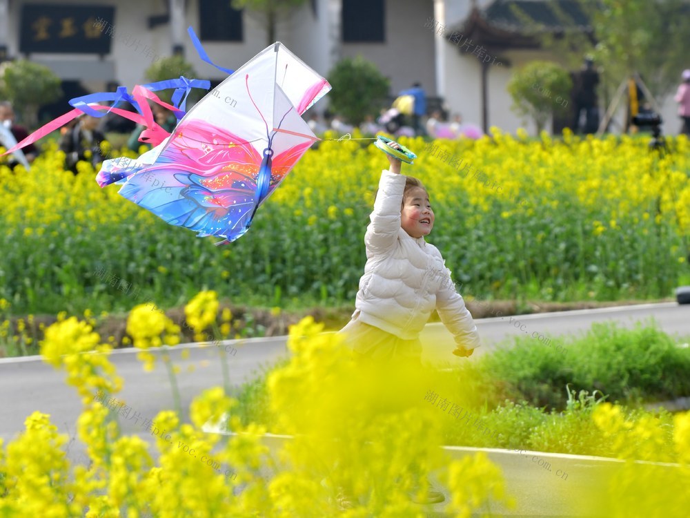 春天  花开  舞龙  曾国藩故居  油菜花  游玩  旅游  文旅