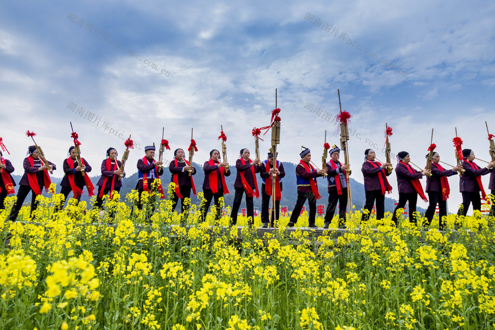 通道 乡村 游客 油菜 花海 乐享 春日 好时光 