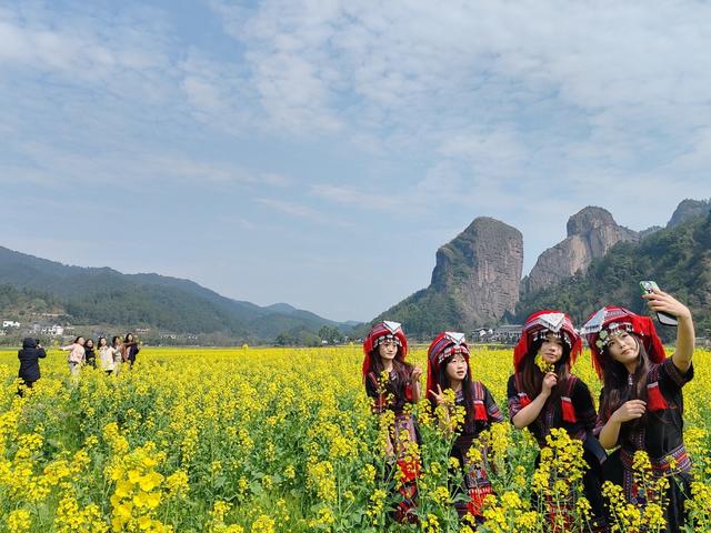 崀山油菜花海惹人醉