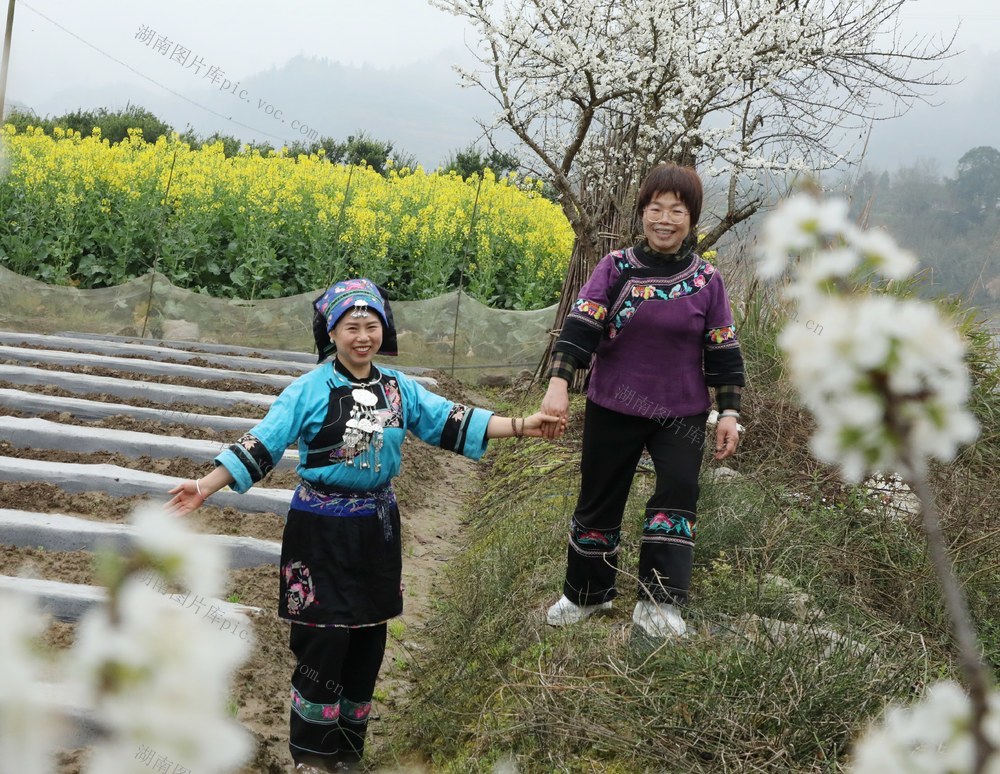  春暖花开踏青时