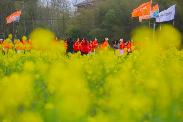 健身跑 跑步 体育 油菜花 花季