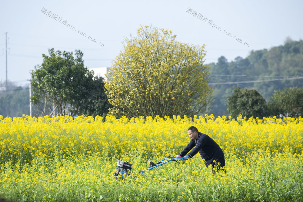 春耕 娄底经开区 播种
