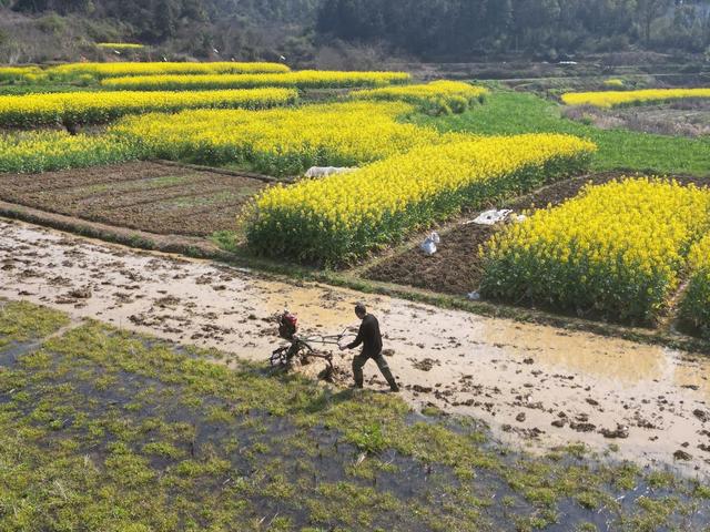 机耕水田，备战春耕。