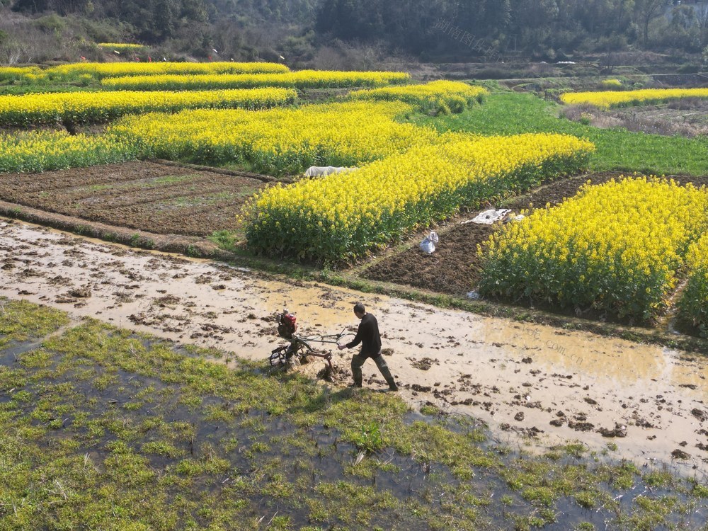机耕水田，备战春耕。