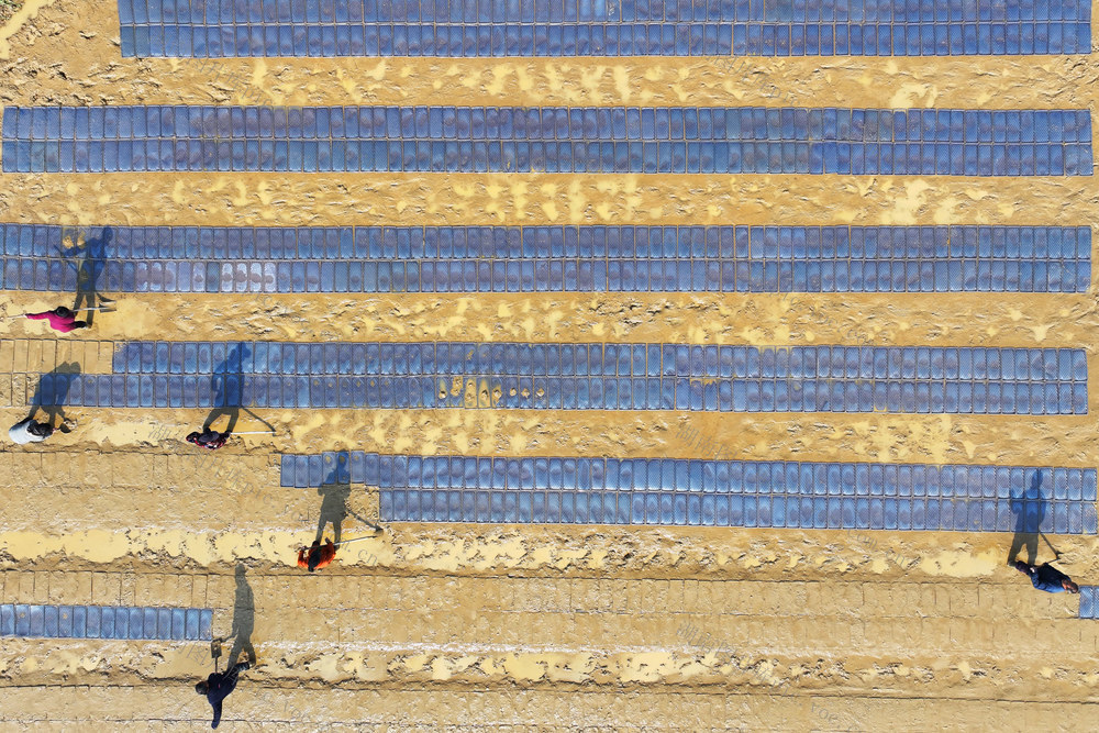 春耕 播种 育秧 早稻 