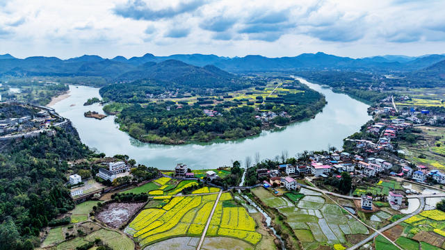 美丽乡村  春天  油菜花