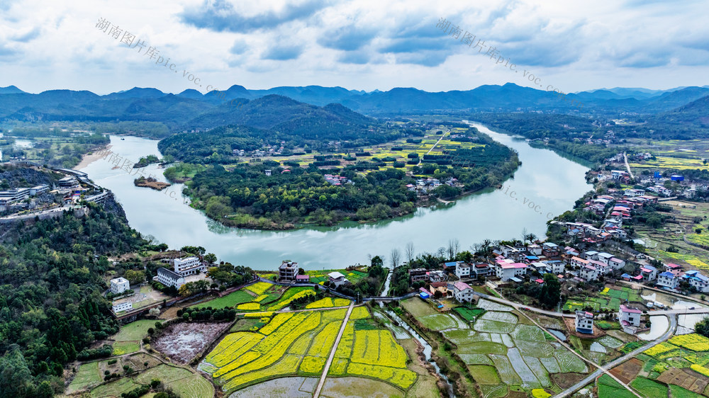 美丽乡村  春天  油菜花