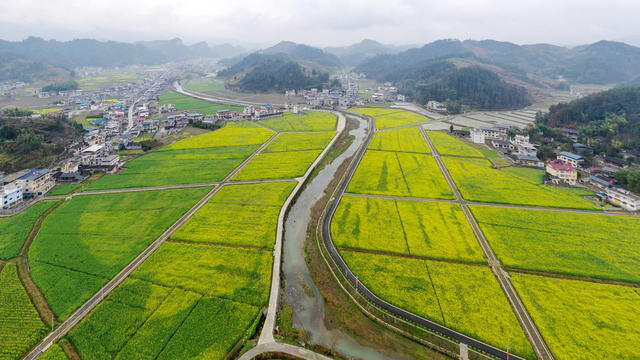湖南，龙山，春日，油菜花，乡村美