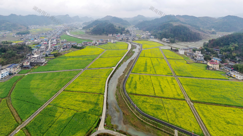 湖南，龙山，春日，油菜花，乡村美