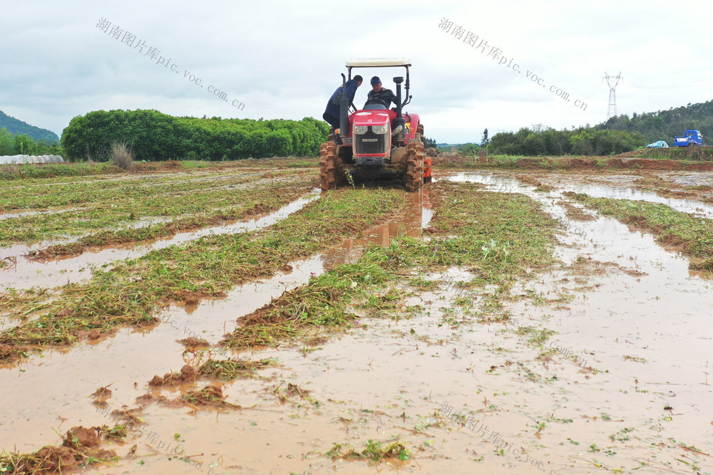 嘉禾：春耕农忙