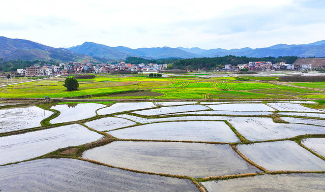 春耕  田园  画卷  乡村