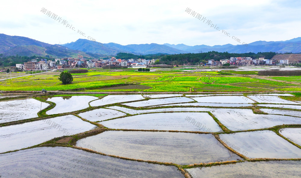 春耕  田园  画卷  乡村