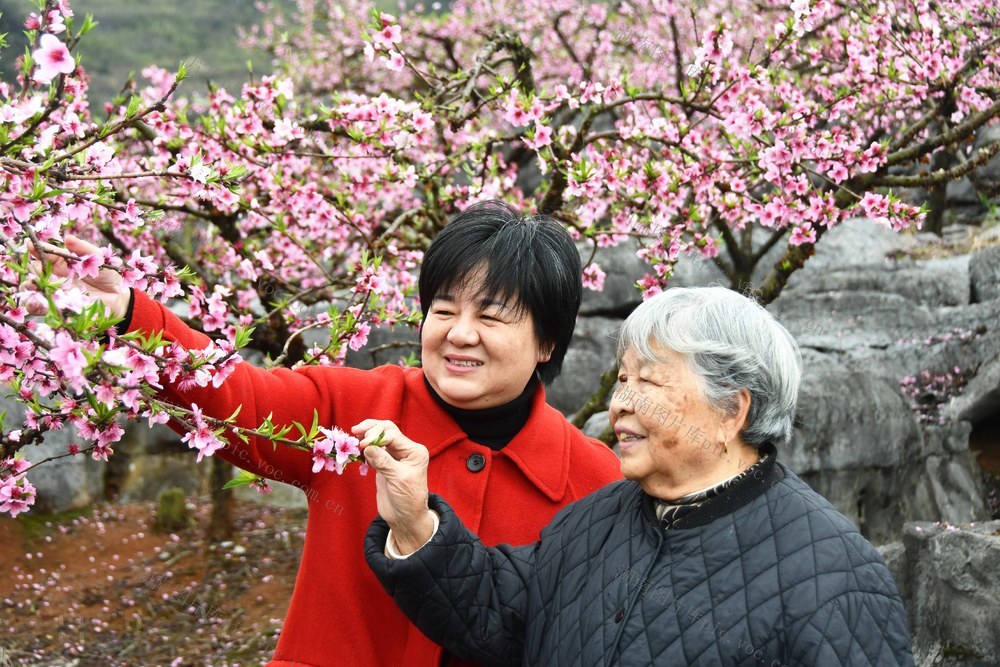   农旅融合  农民增收
