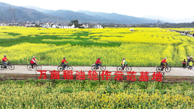 湖南,,郴州,,资兴市,,蓼江镇,,万亩稻田轮作示范基地,,油菜花,,春日图景,,烂漫春光,,游客,,踏青,,