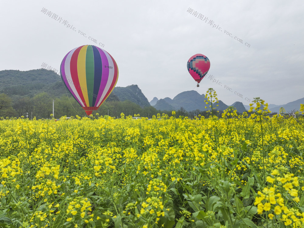 油菜花节
宁远