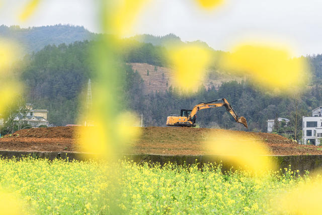 石家冲街道    “订单蔬菜”基地整合扩容